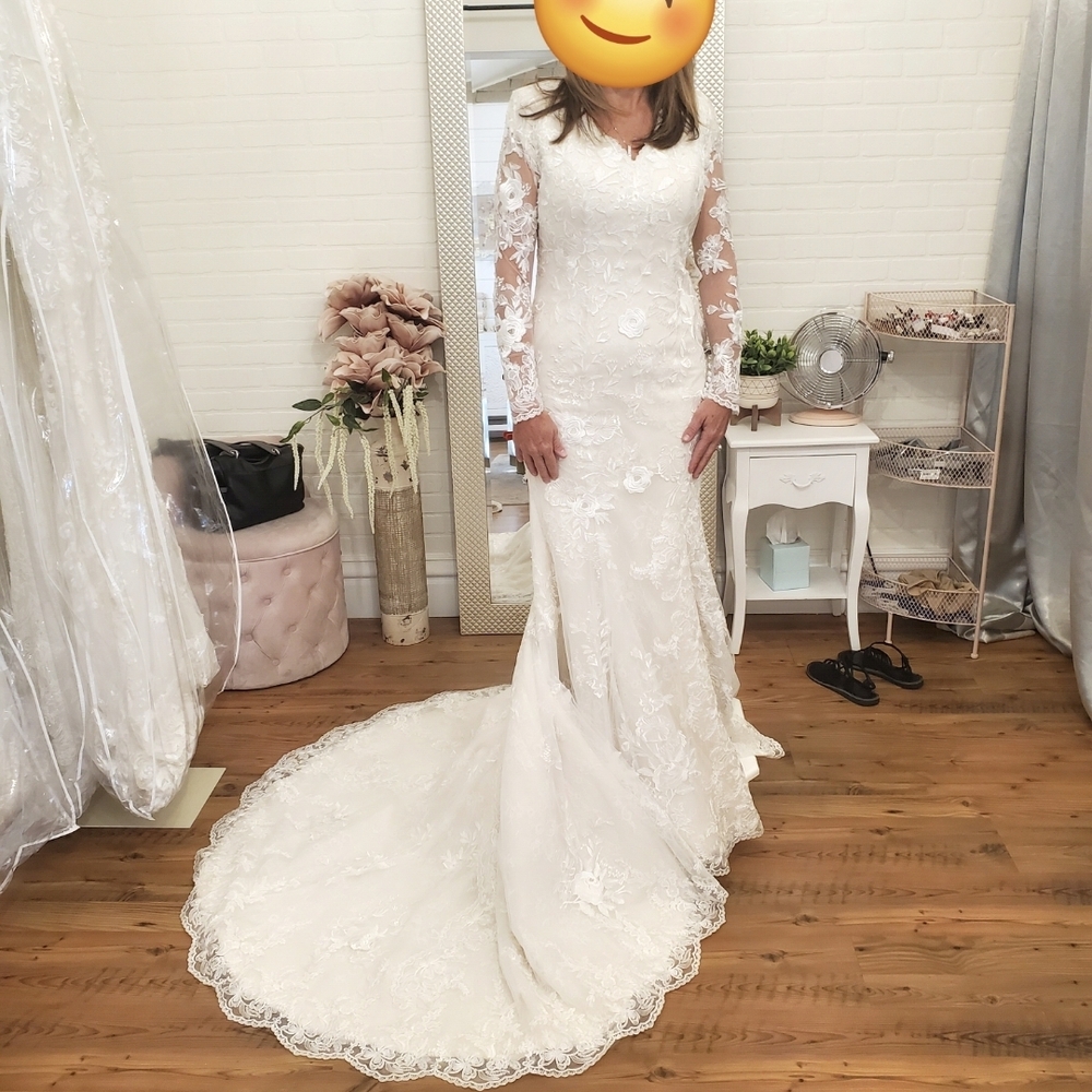 Ivory Lace Bridal Gown with Train And Veil